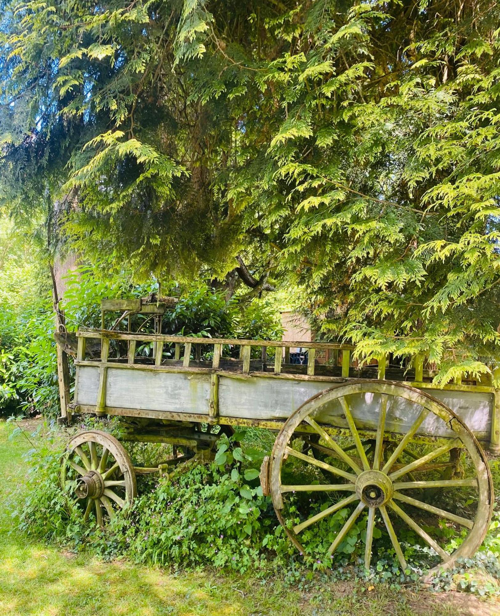 Moulin Du Fontcourt Bed & Breakfast Chasseneuil-sur-Bonnieure Luaran gambar