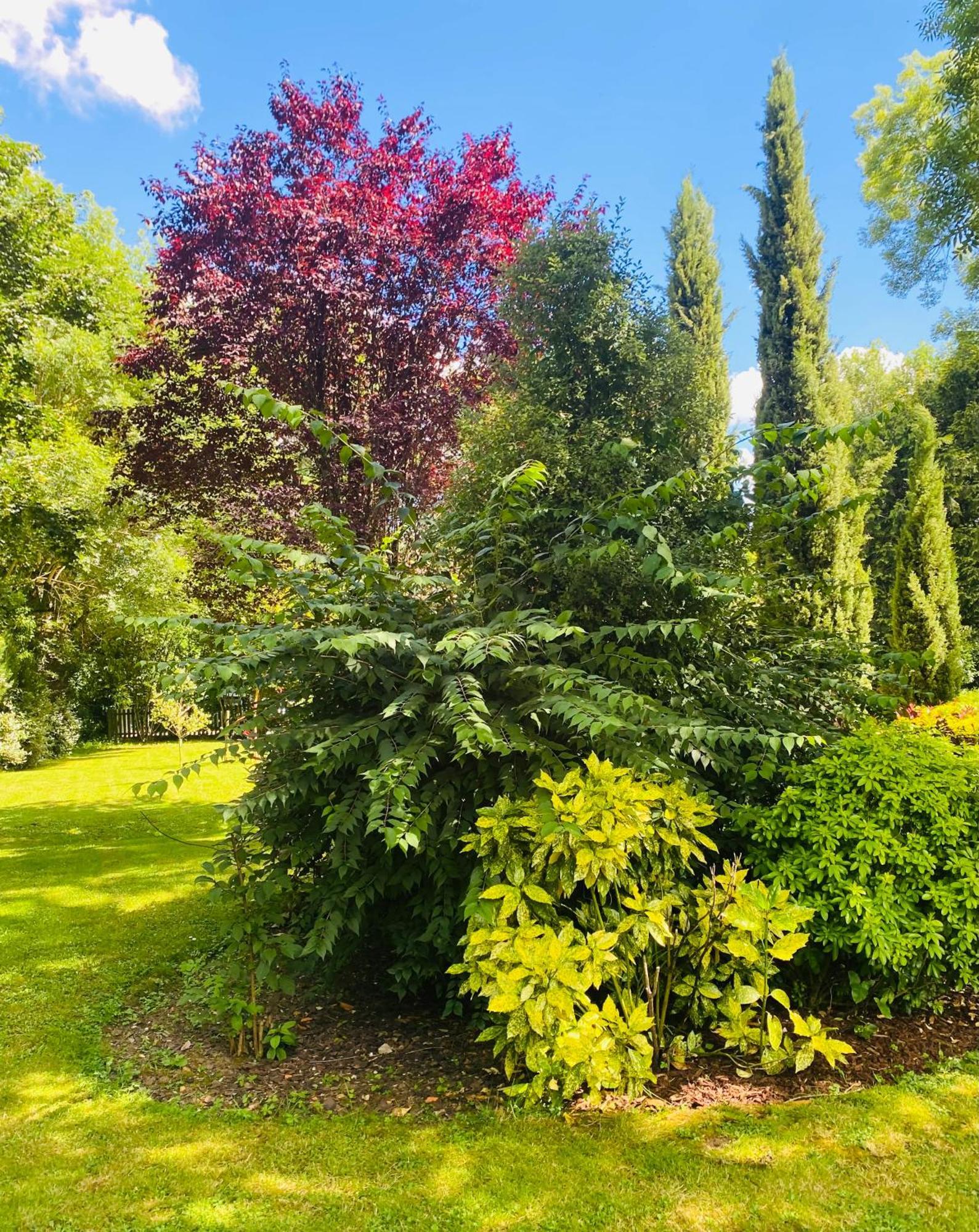 Moulin Du Fontcourt Bed & Breakfast Chasseneuil-sur-Bonnieure Luaran gambar